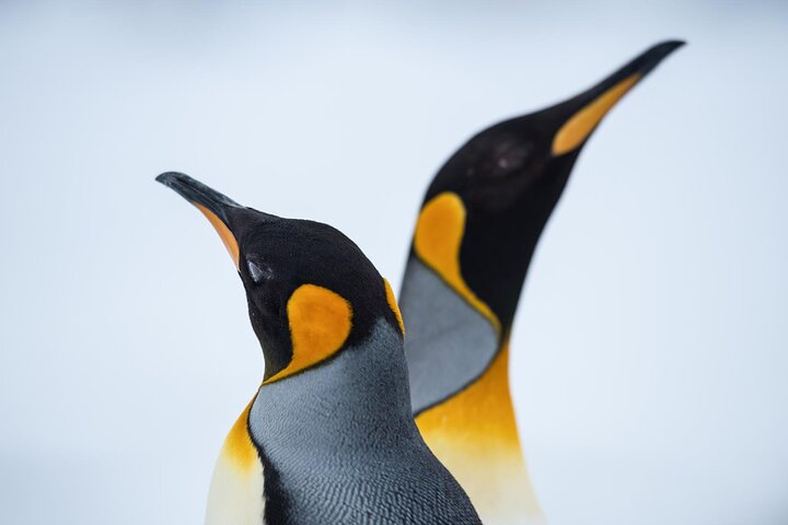 Full Day Torres del Paine Tour from Puerto Natales with Pickup