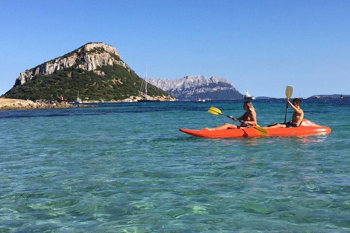 Kayak tour with aperitif and dolphins
