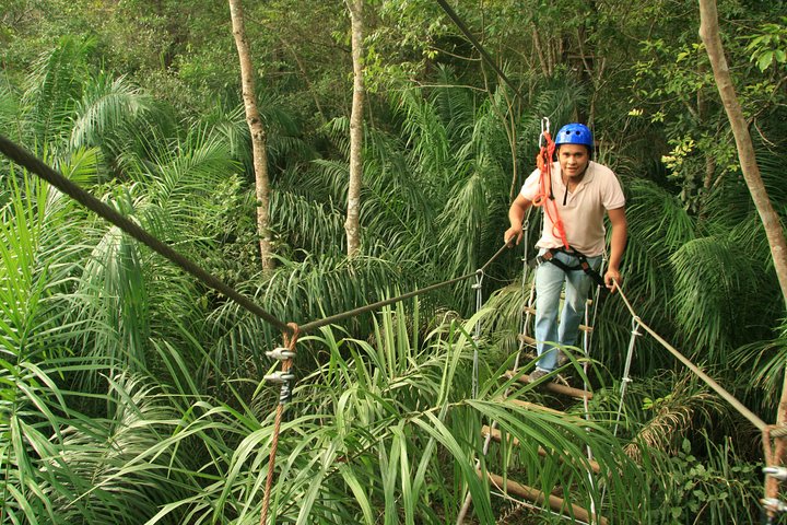 Tree Climbing In Bonito