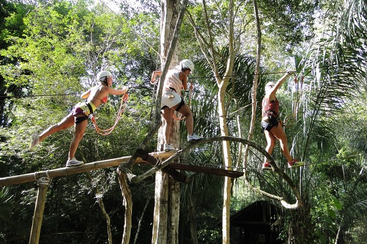 Tree Climbing In Bonito