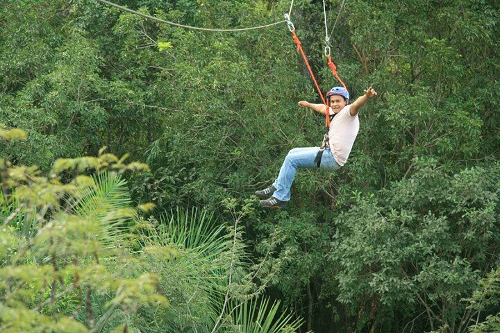 Tree Climbing In Bonito