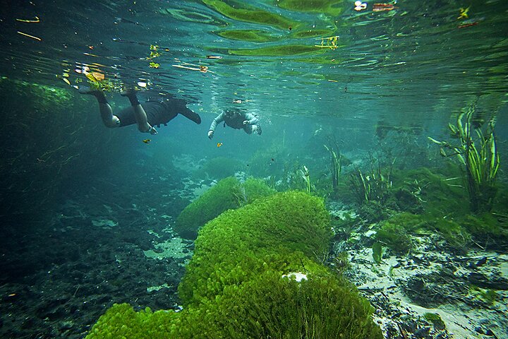 Snorkel in the Sucuri River