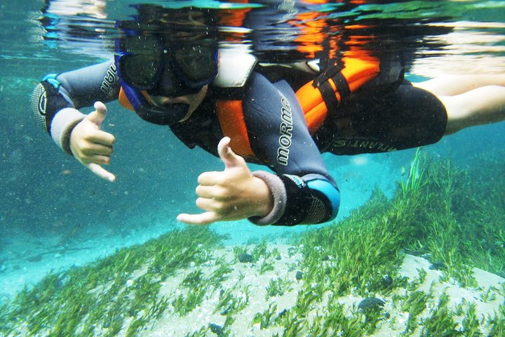 Snorkel in the Sucuri River