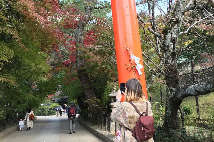 Kyoto tea town for matcha lovers