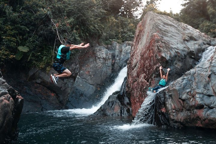 Two-in-One Day Trip: El Yunque and Bio Bay Tour with Transport