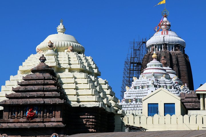 Day Trip to Puri (Guided Private Sightseeing Experience from Bhubaneswar)