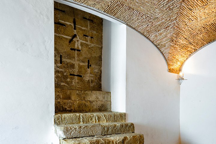 Joanina Library & Coimbra University | Expert Guide since 2012