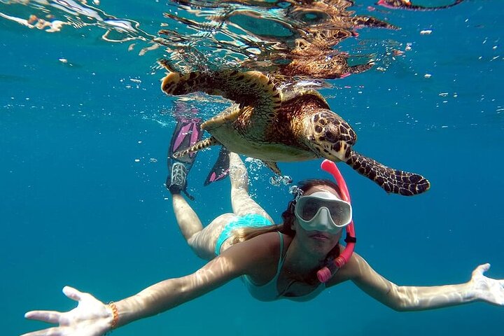 Boat trip in Fernando de Noronha