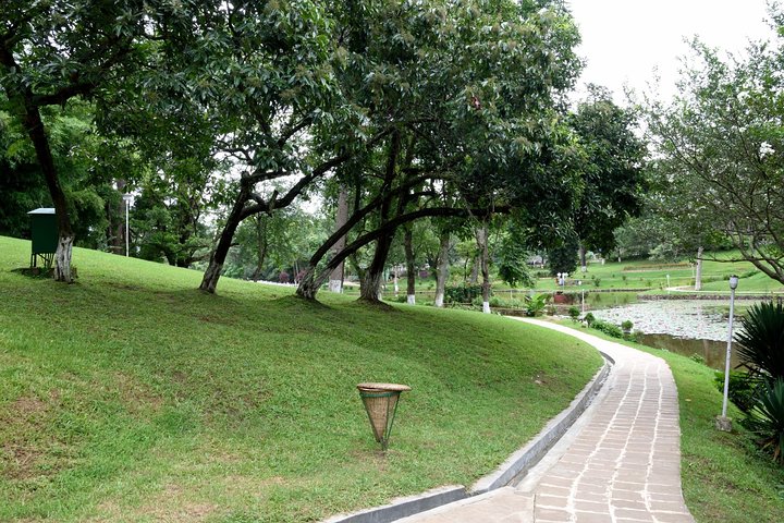 Shillong Nature Walk (3 Hours Guided Trekking Experience)
