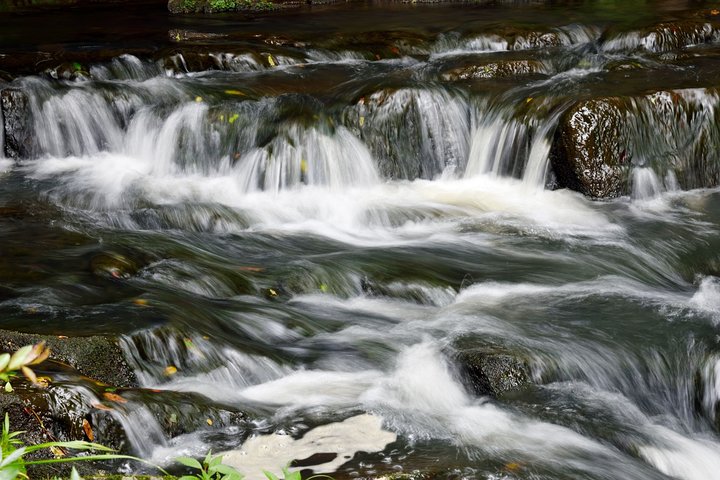 Tourisct Highlights of Shillong (Guided Fullday Sightseeing Tour by Car)