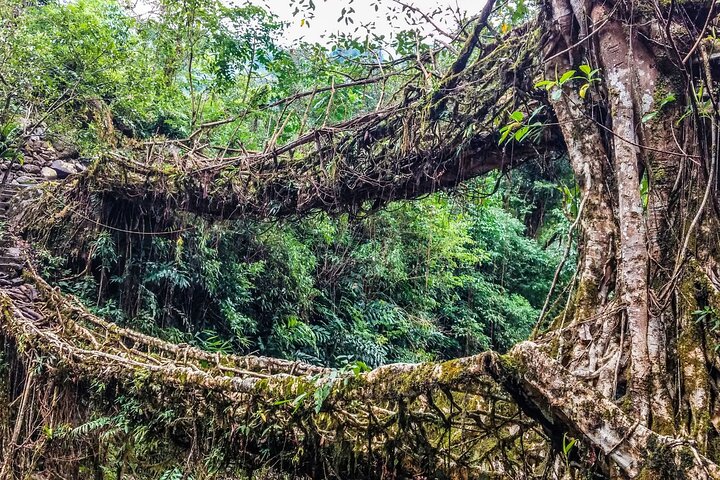 Day Trip to Mawlynnong (Guided Private Sightseeing Experience from Shillong)