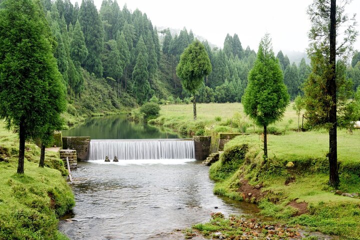 Day Trip to Mawlynnong (Guided Private Sightseeing Experience from Shillong)