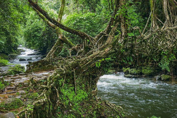 Day Trip to Mawlynnong (Guided Private Sightseeing Experience from Shillong)