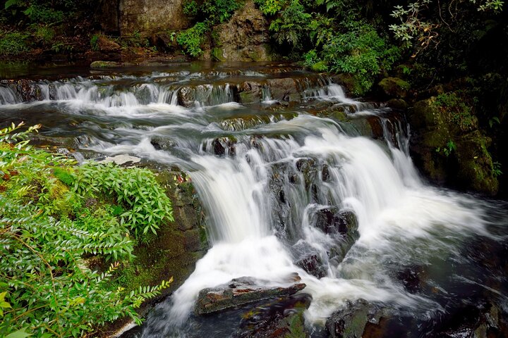Highlights of Pelling with Budha Park (Guided Fullday Sightseeing Tour by Car)