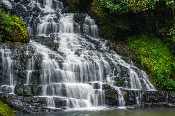 Best of Pelling (Guided Halfday Sightseeing Tour by Car)