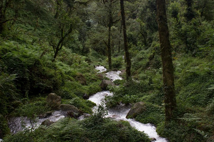 Day Trip to Yuksom (Guided Private Sightseeing Tour from Pelling)