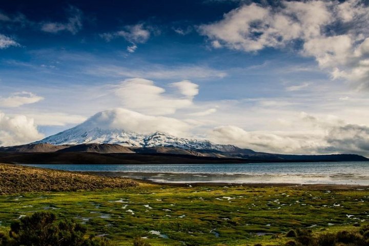 Private Lauca National Park & Chungara Lake from Arica