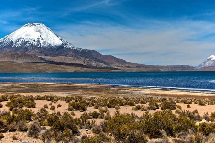 Private Lauca National Park & Chungara Lake from Arica