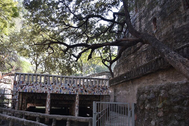 Highlights of the Chandigarh (Guided Half Day City Tour)