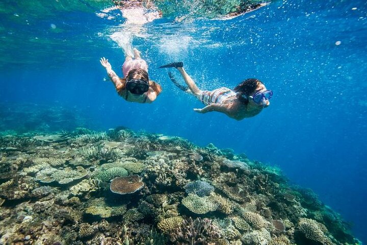 Bali Blue Lagoon Snorkeling with Lunch & Private Hotel Transfer