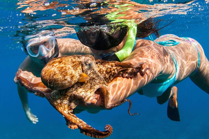 Bali Blue Lagoon Snorkeling with Lunch & Private Hotel Transfer