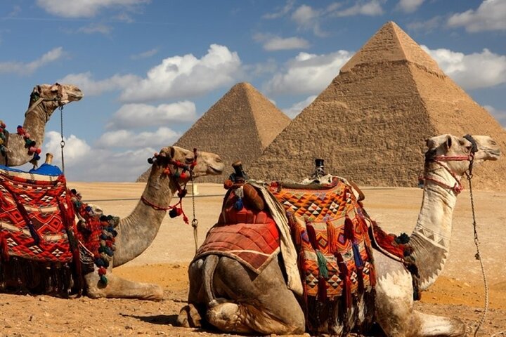 Half Day Tour Giza Pyramids& Great Sphinx with Private Tour Guide