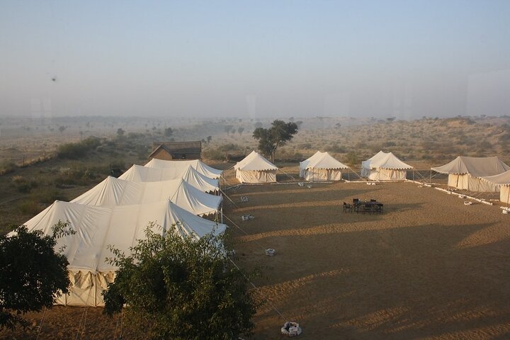 A Camel Safari with High Tea and Local Music