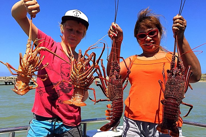 Kalbarri Rock lobster Pot Pull Tour in Kalbarri