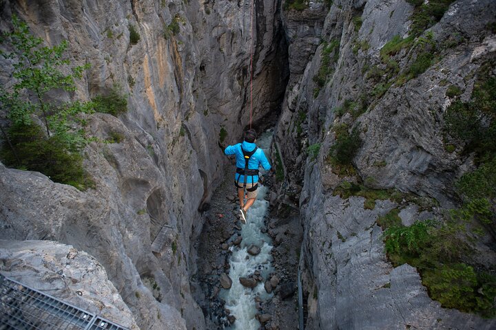 Canyon Swing with OUTDOOR