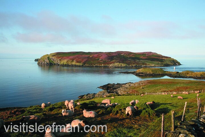 Viking Tour of the Isle of Man - Half Day - Private Tour