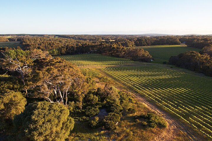 Wine and Chocolate Bonbon Tasting in Margaret River