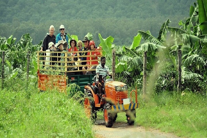 Visit to an Organic Farm in Cumbum Valley with Bullock Cart ride