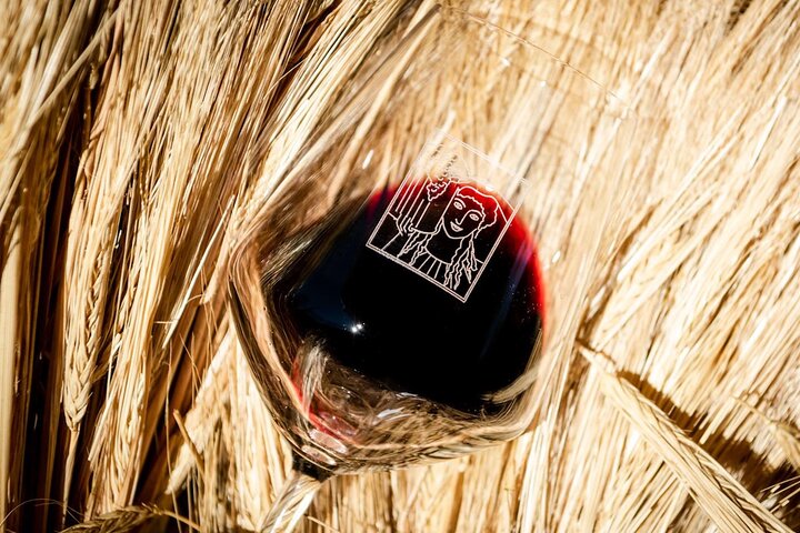 Tour and Tasting at an Organic Winery in the Heart of Chianti Classico Area