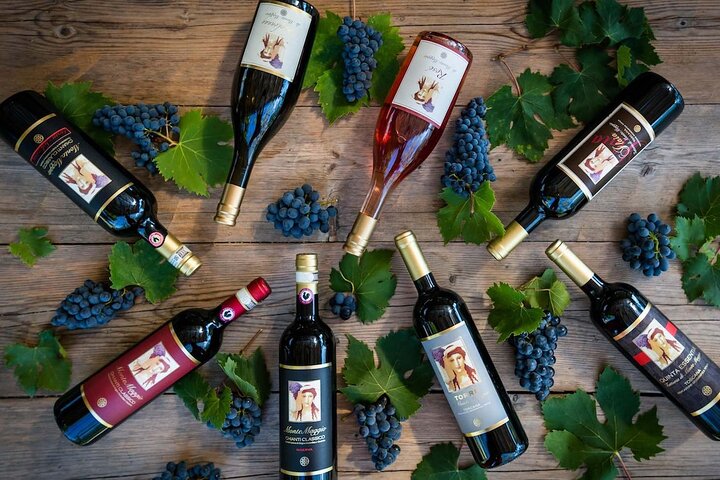Tour and Tasting at an Organic Winery in the Heart of Chianti Classico Area