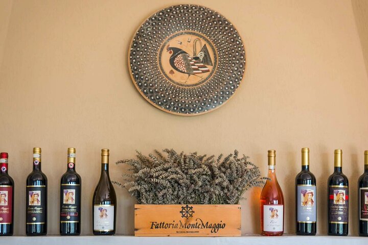 Tour and Tasting at an Organic Winery in the Heart of Chianti Classico Area