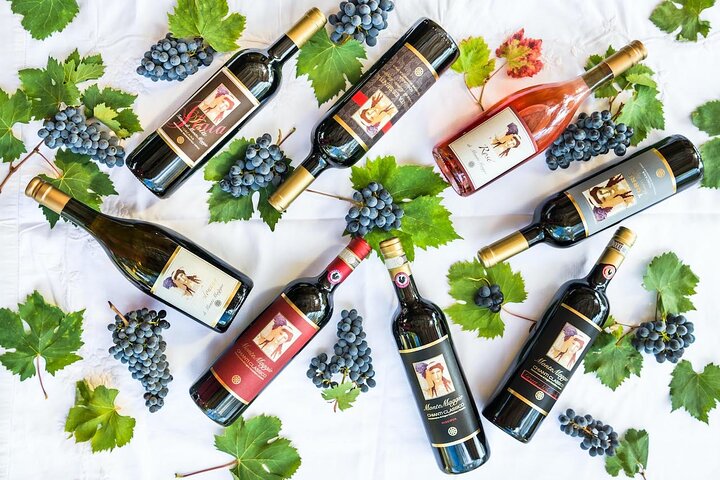 Tour and Tasting at an Organic Winery in the Heart of Chianti Classico Area