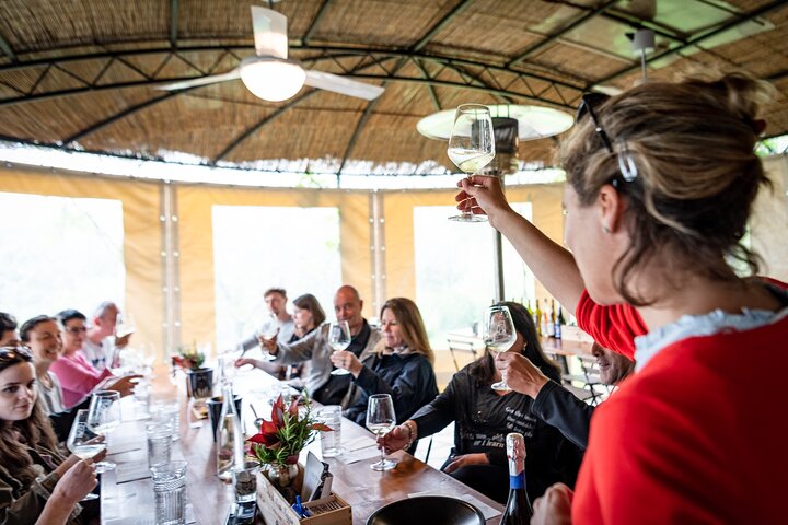 Tour and Tasting at an Organic Winery in the Heart of Chianti Classico Area