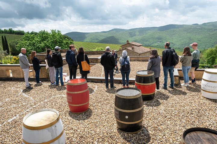 Tour and Tasting at an Organic Winery in the Heart of Chianti Classico Area