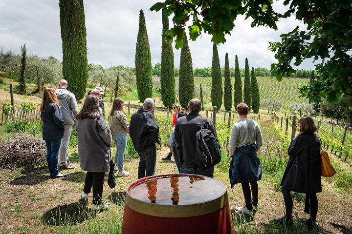 Tour and Tasting at an Organic Winery in the Heart of Chianti Classico Area