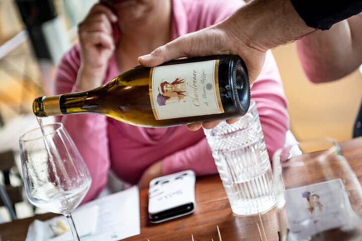 Tour and Tasting at an Organic Winery in the Heart of Chianti Classico Area