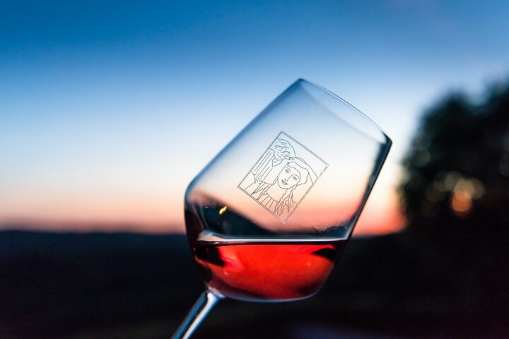 Tour and Tasting at an Organic Winery in the Heart of Chianti Classico Area