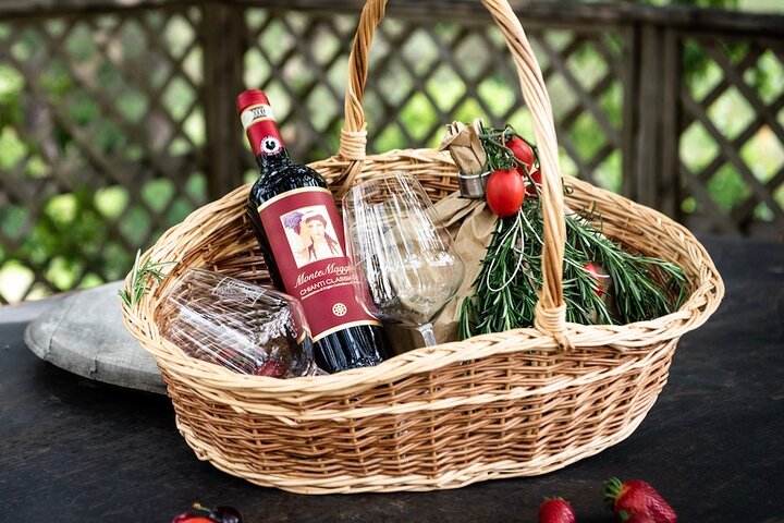 Tour and Tasting at an Organic Winery in the Heart of Chianti Classico Area