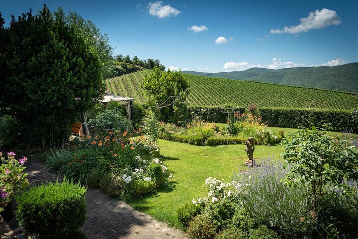 Tour and Tasting at an Organic Winery in the Heart of Chianti Classico Area