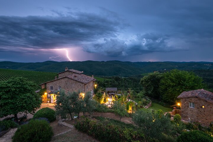 Tour and Tasting at an Organic Winery in the Heart of Chianti Classico Area