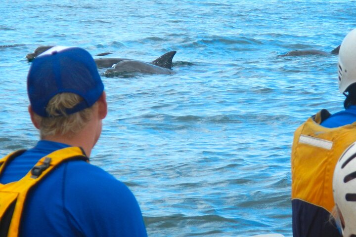 The Byron Bay Sea Kayak Tour