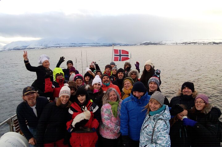 Tromsø: Arctic Fjord Cruise & Fishing Experience