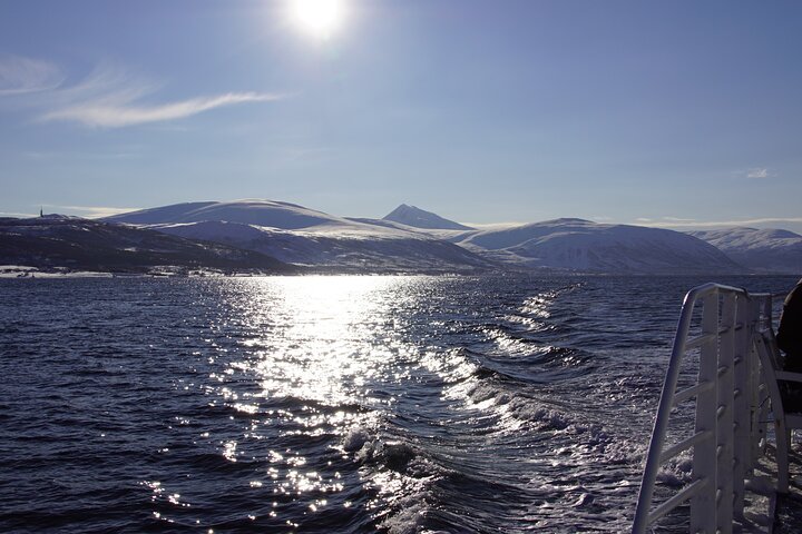 Tromsø: Arctic Fjord Cruise & Fishing Experience