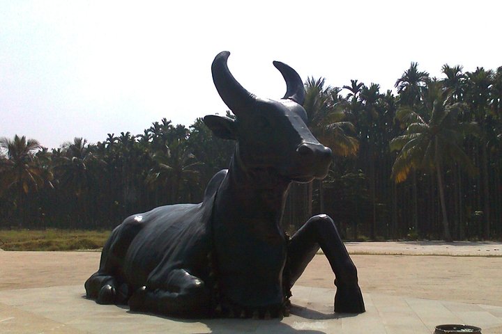 Isha Yoga Centre - Coimbatore With Lunch