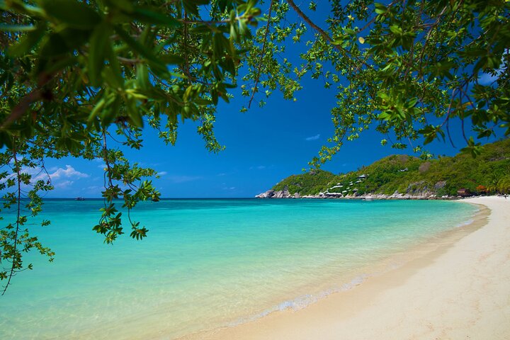 Premium Snorkel Tour to the Bays of Koh Tao onboard the Oxygen