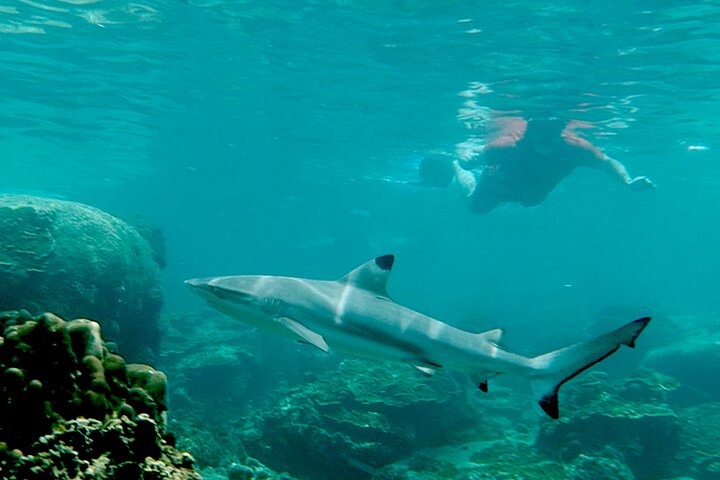 Premium Snorkel Tour to the Bays of Koh Tao onboard the Oxygen